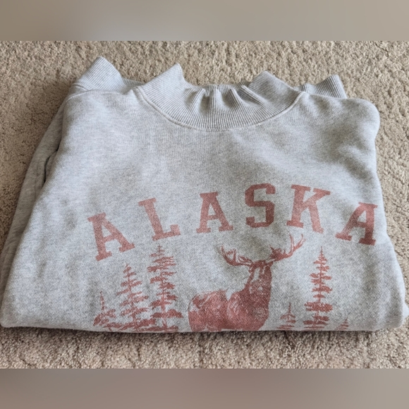 Aerie Alaska Mock Neck Sweatshirt In Gray Color - Picture 11 of 11